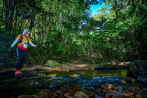 BIB: 
                            <button type="button" onclick="openModal(21764701)" class="btn btn-primary btn-sm float-right btn-popup" data-toggle="modal" data-target=".modal-high-quality">
                        <i class="fas fa-shopping-cart"></i> Add to Cart
                    </button>
                                            <button type="button" onclick="isThisMe(21764701, true)" class="btn btn-success btn-sm float-right btn-popup btn-isme hidden" data-toggle="tooltip" data-placement="bottom" title="นี่คือรูปของคุณใช่ไหม คลิกที่นี่เพื่อเอาเข้าอัลบั้ม">
                        <i class="fas fa-plus"></i> Add to album
                    </button>
                    <button type="button" onclick="isThisMe(21764701, false)" class="btn btn-warning btn-sm float-right btn-popup btn-isnotme hidden">
                        <i class="fas fa-ban"></i> Remove from album
                    </button>